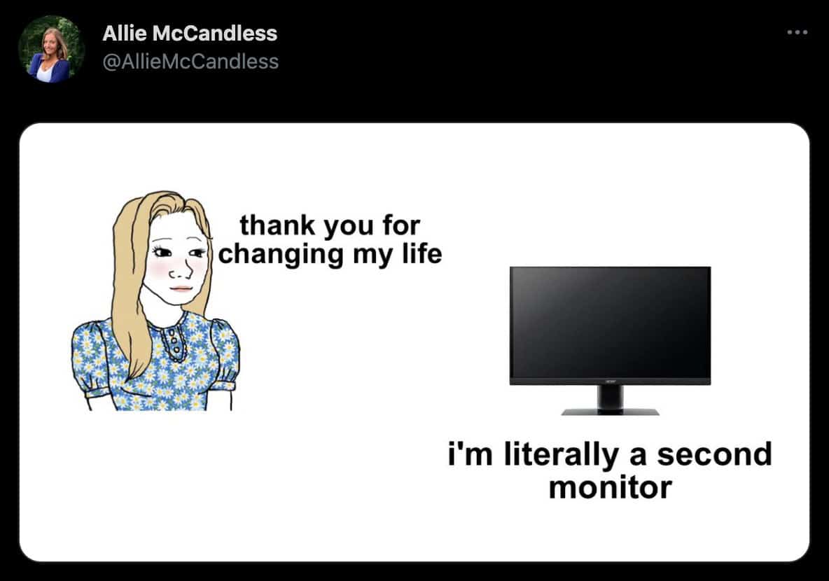 funny observations. thank you for changing my life i'm literally a second monitor