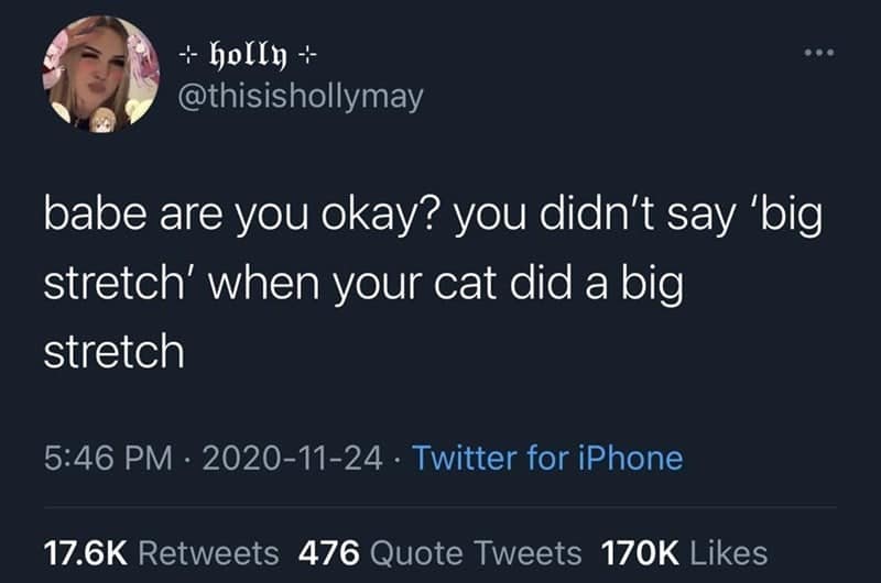 funny observations. babe are you okay? you didn't say 'big stretch' when your cat did a big stretch