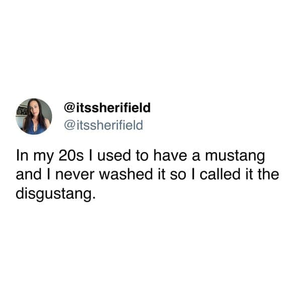 funny pics. In my 20s I used to have a mustang and I never washed it so I called it the disgustang.