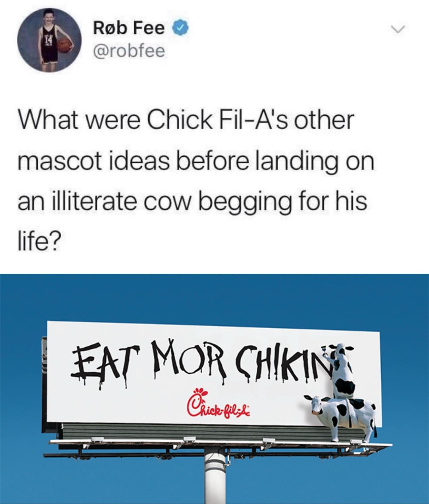 funny pics. What were Chick Fil-A's other mascot ideas before landing on an illiterate cow begging for his life?
