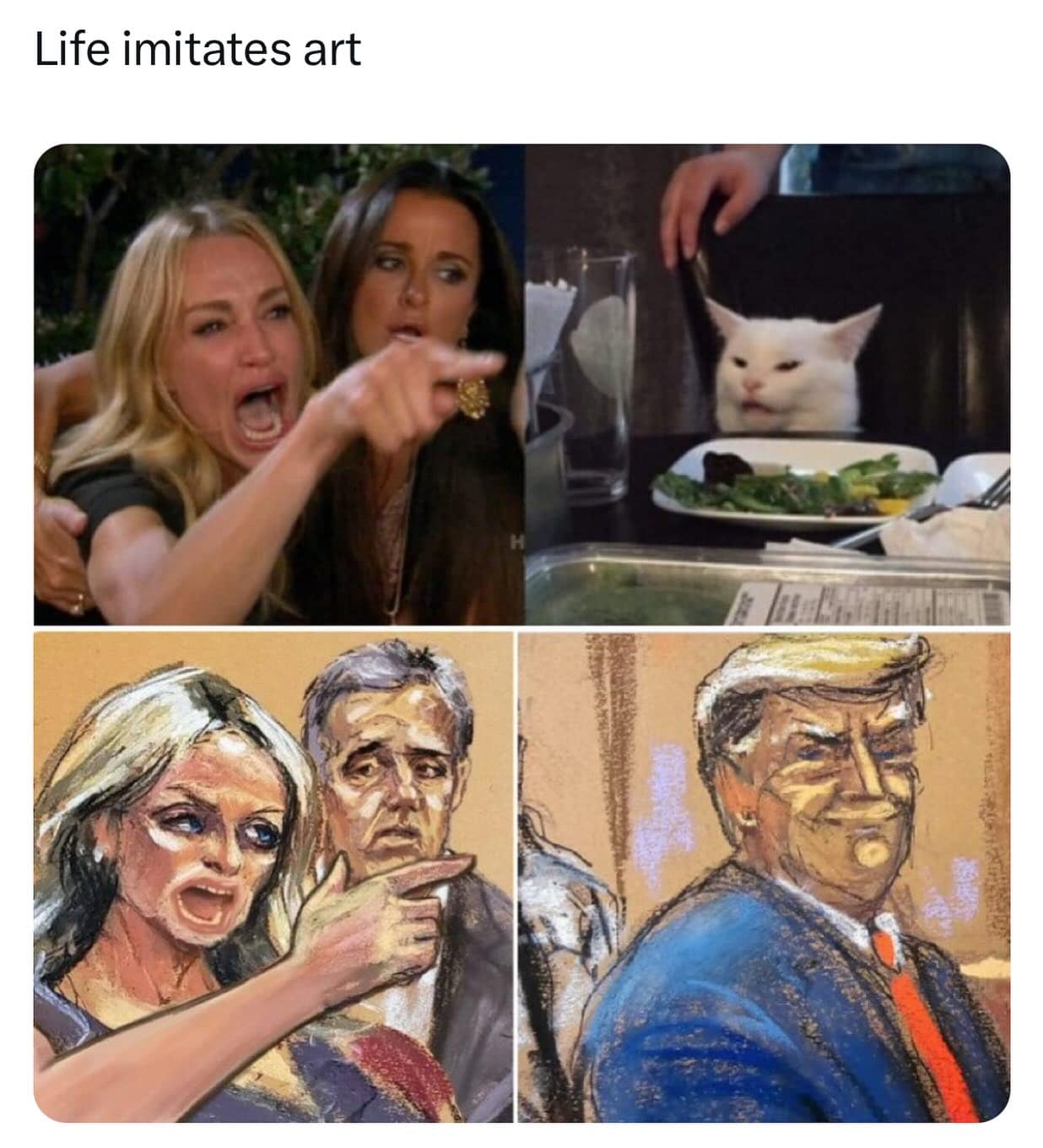 funny pics. Life imitates art trump cat
