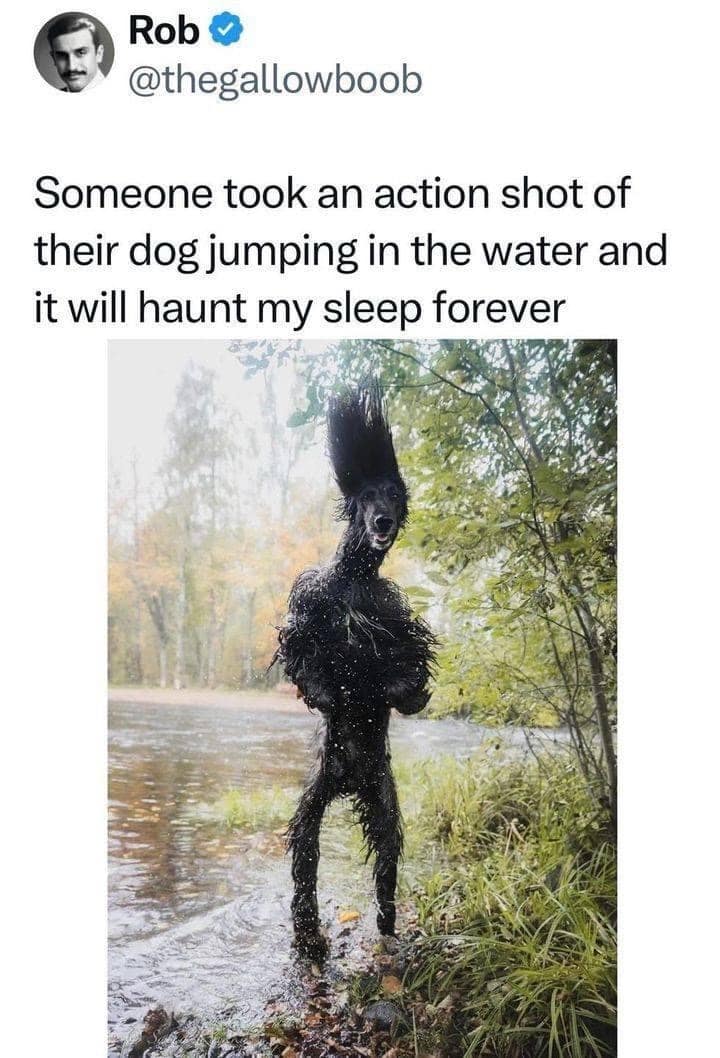 funny memes, funny photos, funniest pictures