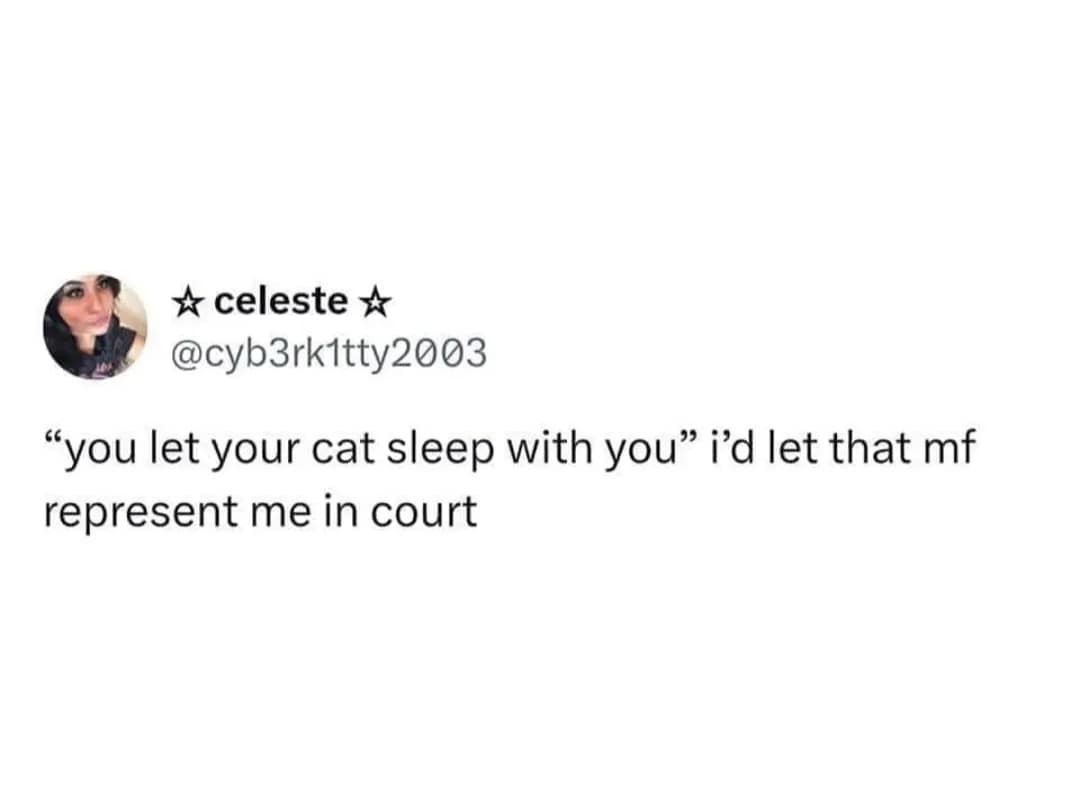 funny memes, funny photos, funniest pictures