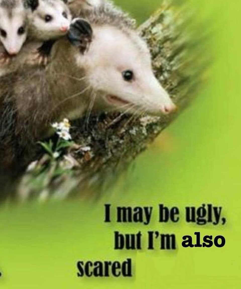 I may be ugly, but I'm also scared