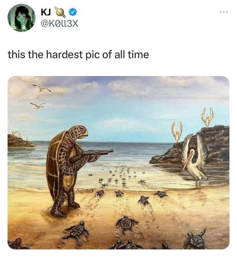 finny pics, funny memes, funny photos, funniest pictures