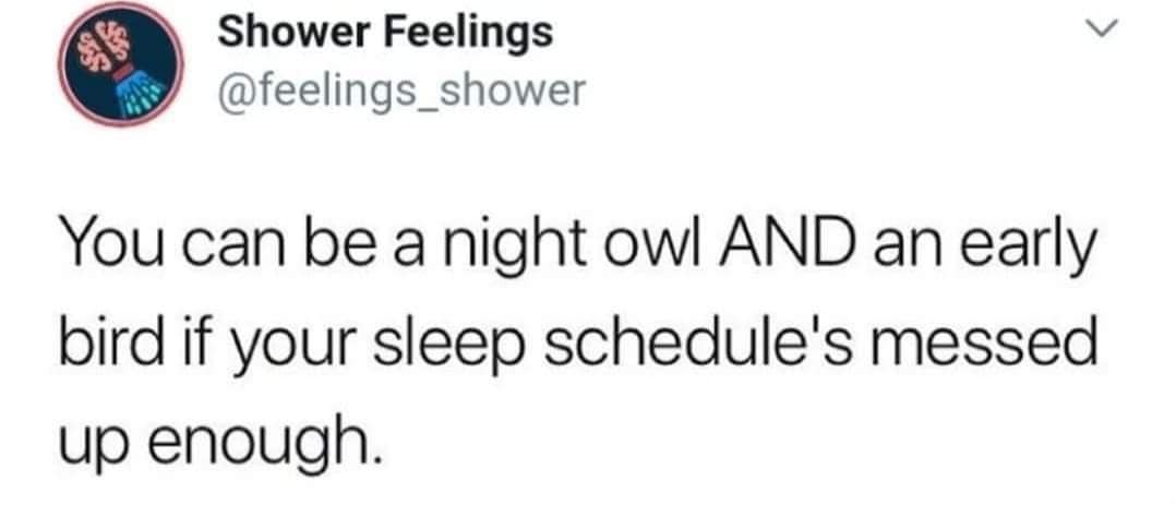 funny pics, funny memes, funny photos, funniest pictures