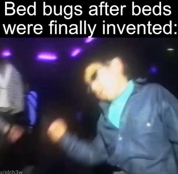 Bed bugs after beds were finally invented: