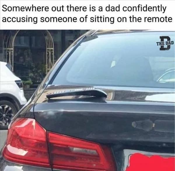 funny pic Somewhere out there is a dad confidently accusing someone of sitting on the remote