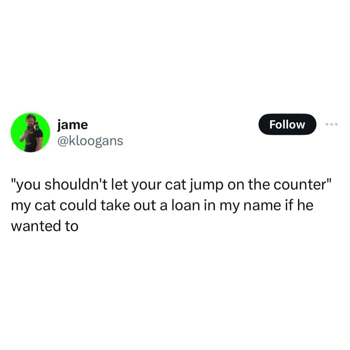 "you shouldn't let your cat jump on the counter" my cat could take out a loan in my name if he wanted to