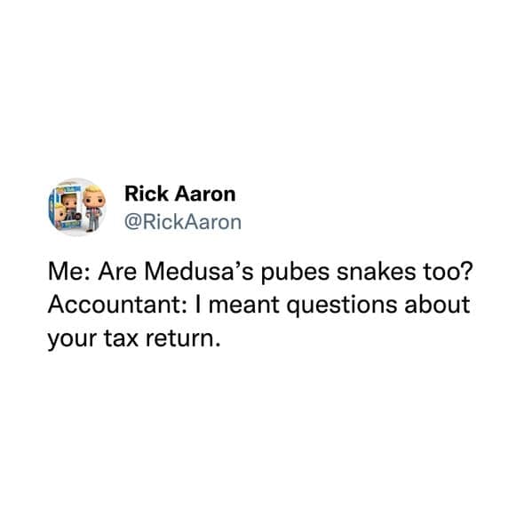 funny pic Me: Are Medusa's pubes snakes too? Accountant: I meant questions about your tax return.