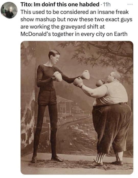 funny pictures, funny memes, funny photos, funniest pics