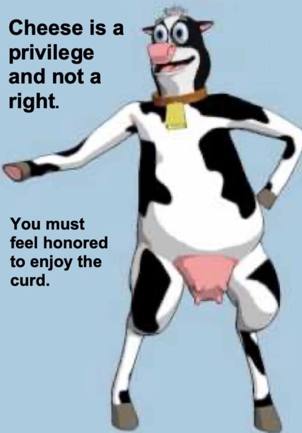 funny pictures, funny memes, funny photos, funniest pics