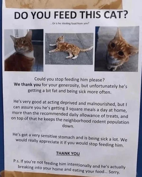 hilarious signs, public announcement mistakes, funny typos on signs, signage errors, absurd public notices