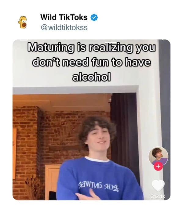 funny tiktok screenshots, Bizarre TikTok Trends, Hilarious Comment Sections, Unexplained TikTok Challenges, Outlandish TikTok Fads