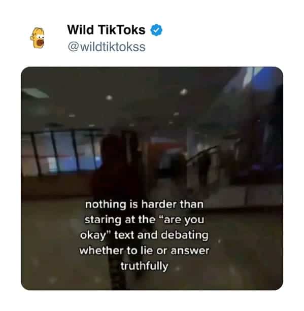 funny tiktok screenshots, Bizarre TikTok Trends, Hilarious Comment Sections, Unexplained TikTok Challenges, Outlandish TikTok Fads