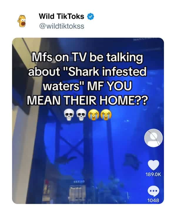 funny tiktok screenshots, Bizarre TikTok Trends, Hilarious Comment Sections, Unexplained TikTok Challenges, Outlandish TikTok Fads