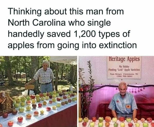 gardening memes. Thinking about this man from North Carolina who single handedly saved 1,200 types of apples from going into extinction