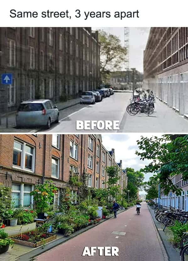 gardening memes. Same street, 3 years apart 个 BEFORE AFTER