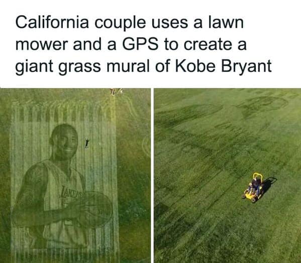 gardening memes. California couple uses a lawn mower and a GPS to create a giant grass mural of Kobe Bryant