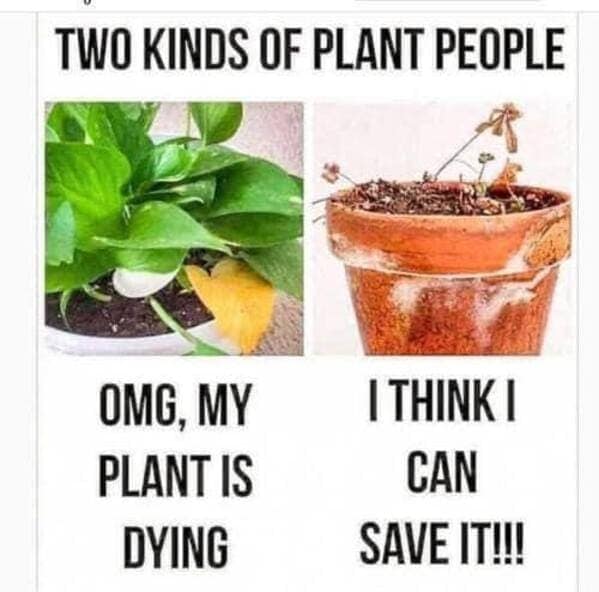 gardening memes.