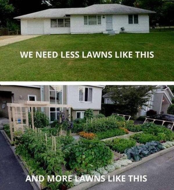 gardening memes. WE NEED LESS LAWNS LIKE THIS AND MORE LAWNS LIKE THIS