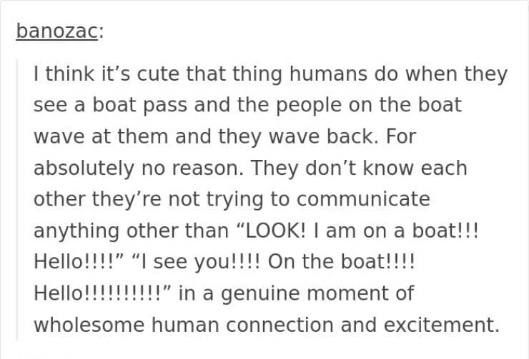 happy memes. I think it's cute that thing humans do when they see a boat pass and the people on the boat wave at them and they wave back. For absolutely no reason. They don't know each other they're not trying to communicate anything other than "LOOK! I am on a boat!!! Hello!!!!" "I see you!!!! On the boat!!!! Hello!!!!!!!!!!" in a genuine moment of wholesome human connection and excitement.