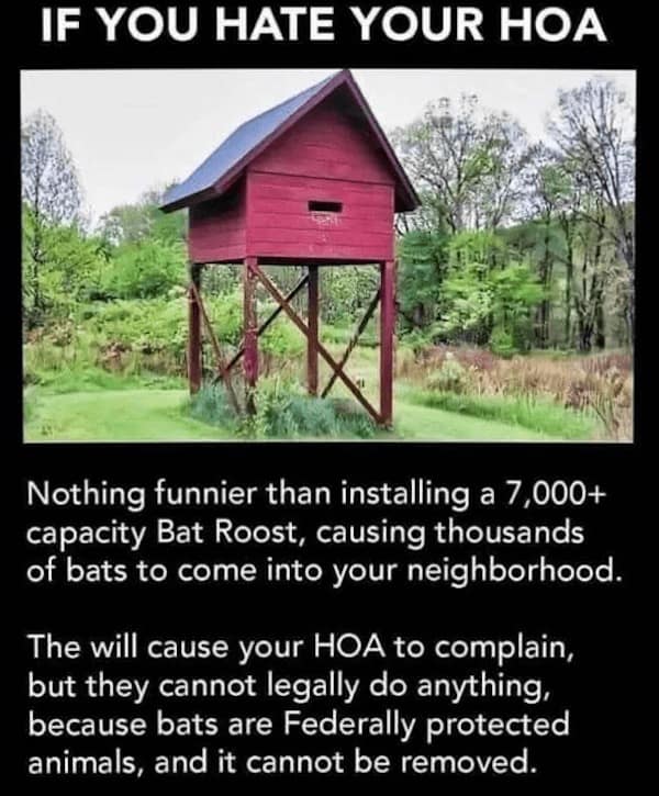 hoa memes. IF YOU HATE YOUR HOA