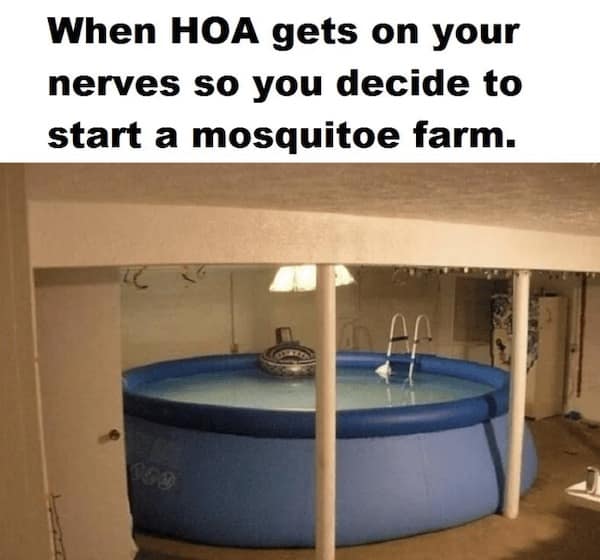 hoa memes. When HOA gets on your nerves so you decide to start a mosquitoe farm.