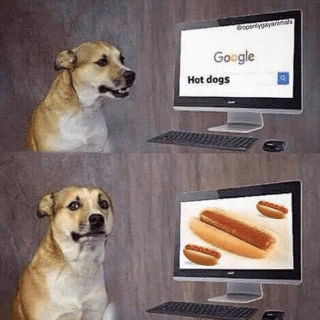 hotdog memes.