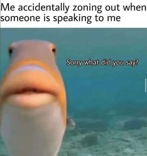 introvert memes, social anxiety memes, Social Anxiety, Introvert Life, Recharge, Socially Awkward, Quiet People, Recharge Energy