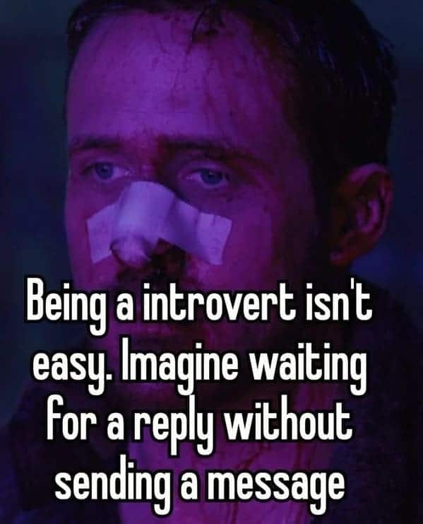 introvert memes, social anxiety memes, Social Anxiety, Introvert Life, Recharge, Socially Awkward, Quiet People, Recharge Energy