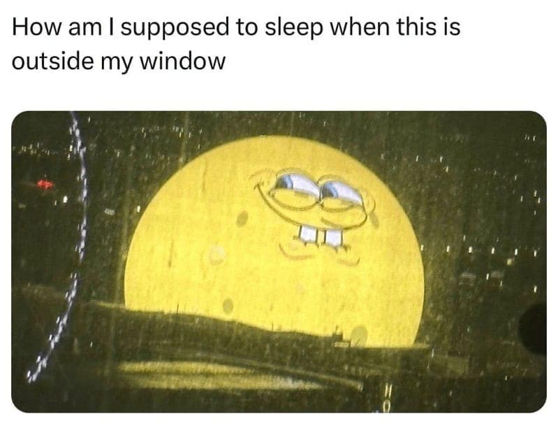 Introvert Problems, Introvert Life, Socially Awkward, Recharge Alone Time, Quiet Time