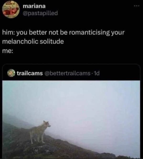 introvert memes, social anxiety memes, Social Anxiety, Introvert Life, Recharge, Socially Awkward, Quiet People, Recharge Energy