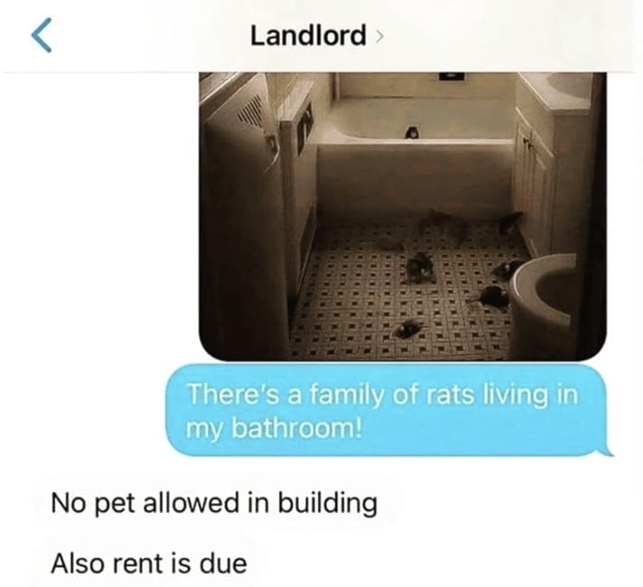 landlord memes, awful landlords, funny landlord stories, tenant struggles, hilarious rental experiences, landlord jokes, rental humor, tenant memes