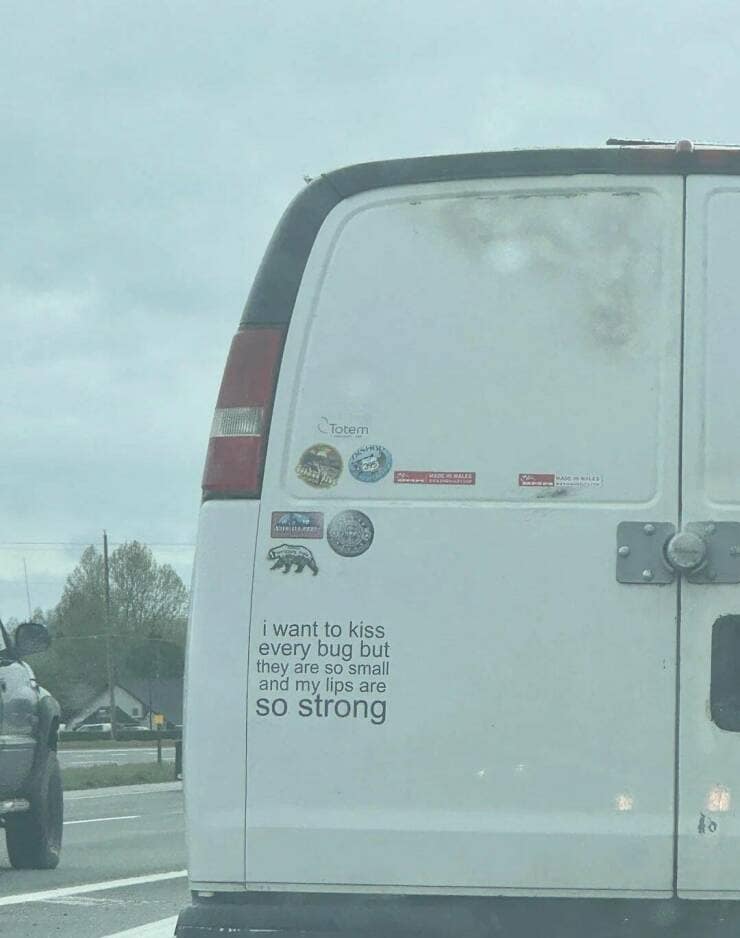 meme dump, funny memes, hilarious memes, Hilarious Memes for Lunch Break, Funny Work Memes, Afternoon Laughter Break, Meme Buffet, Comedy Content Compilation, Humor to Refuel Your Workday