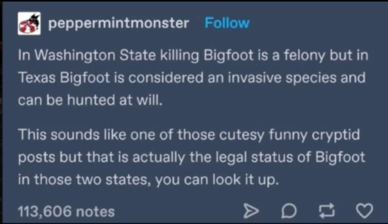 meme dump, funny memes, hilarious memes, Funny Lunch Break Content, Random Meme Compilation