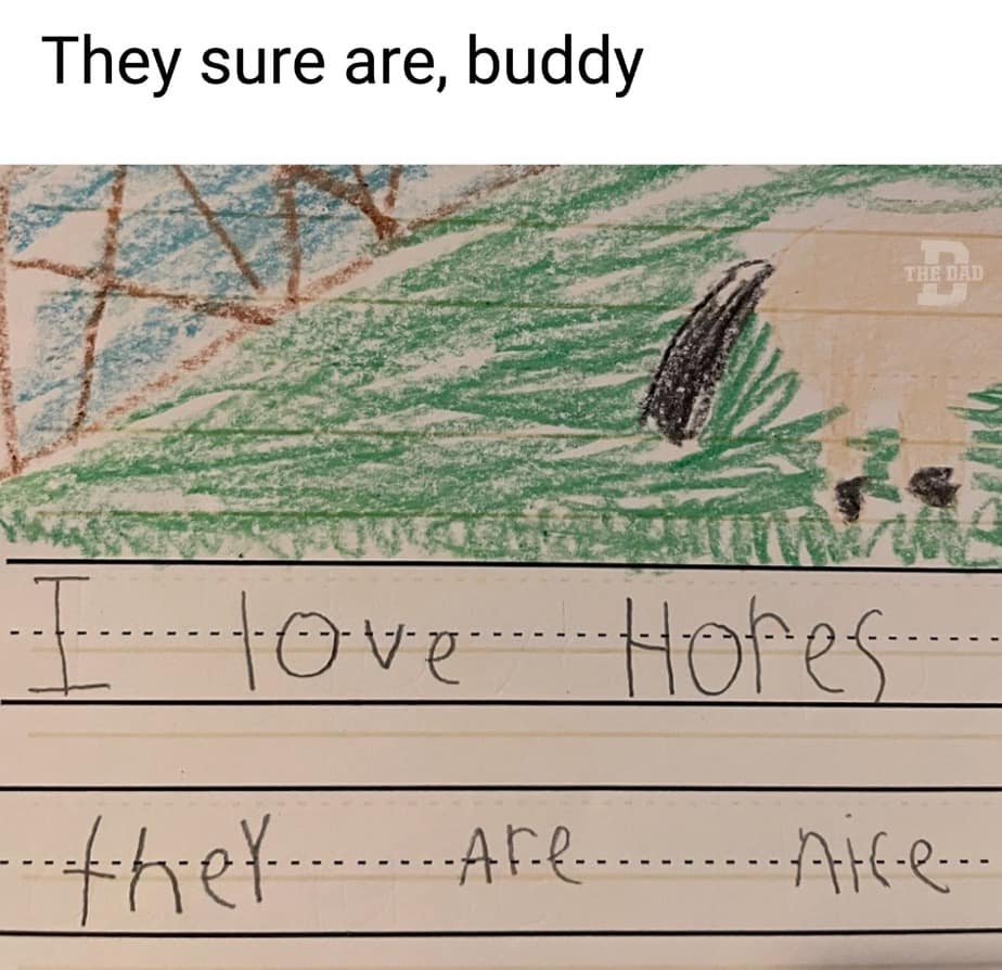 meme dump, funny memes, hilarious memes, Funny Lunch Break Content, Random Meme Compilation