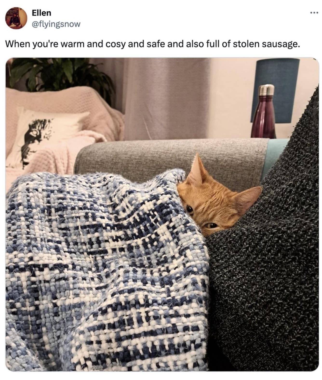 meme dump, funny memes, hilarious memes, Funny Lunch Break Content, Random Meme Compilation