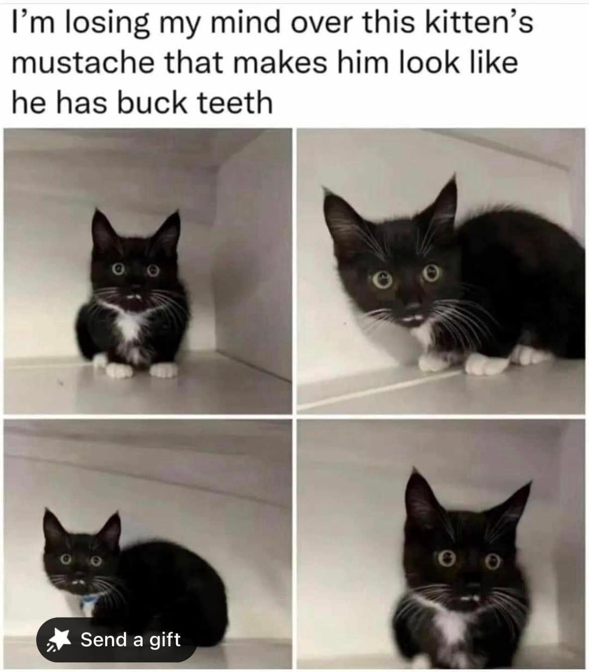 meme dump, hilarious memes, funny memes, Hilarious Content, Lunch Break Laughs, Afternoon Pick-Me-Up, Laughter Therapy, Relatable Humor