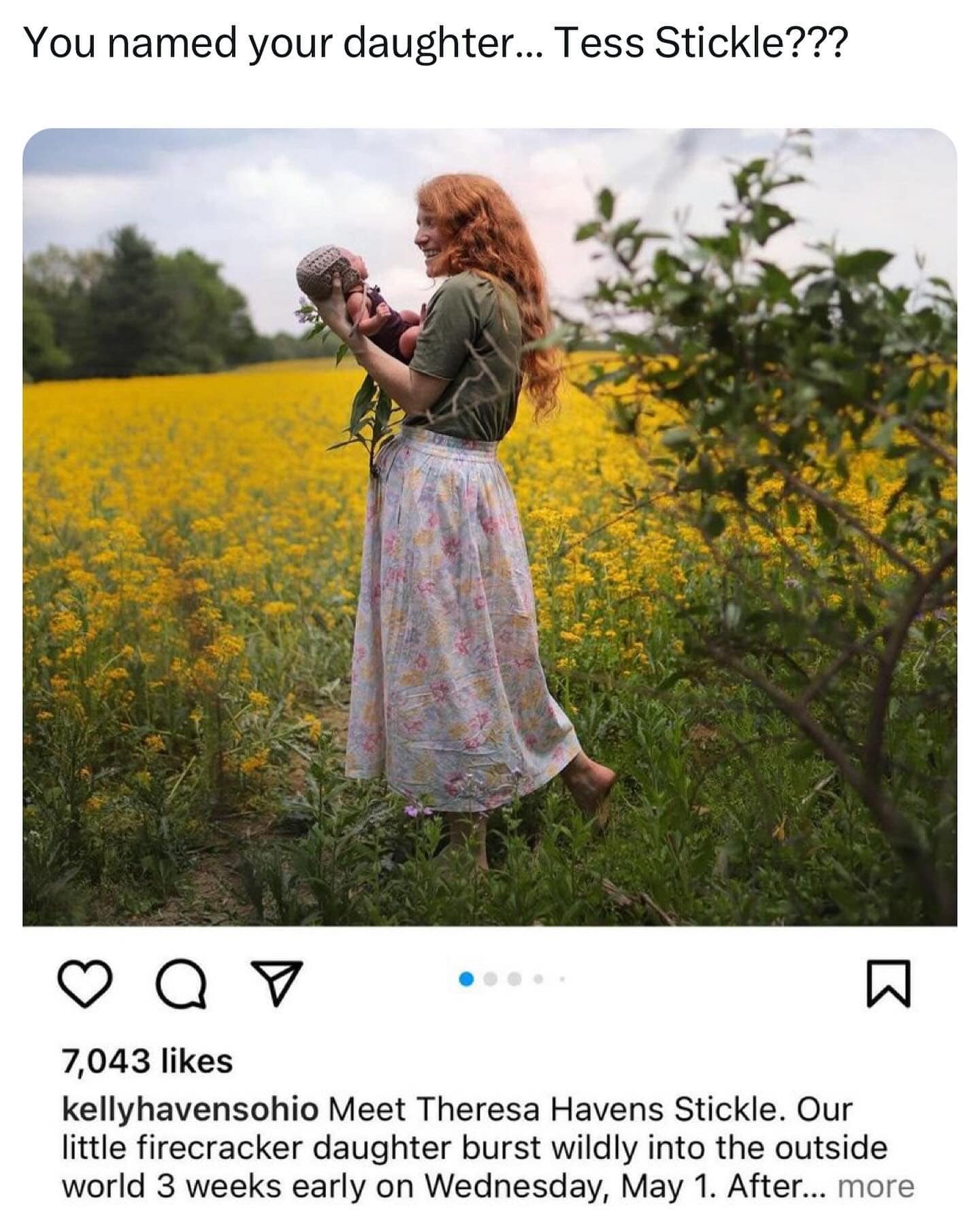 meme dump, funny memes, hilarious memes, Meme Compilation, Meme Stash Meme Gallery