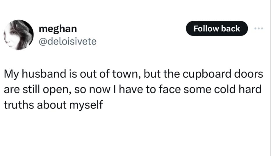 meme dump, funny memes, hilarious memes, Lunch Break Humor, Afternoon Pick-Me-Up Memes, Funny Work Memes, Hilarious Intermission, Midday Laugh Attack, Workday Comedy Collection