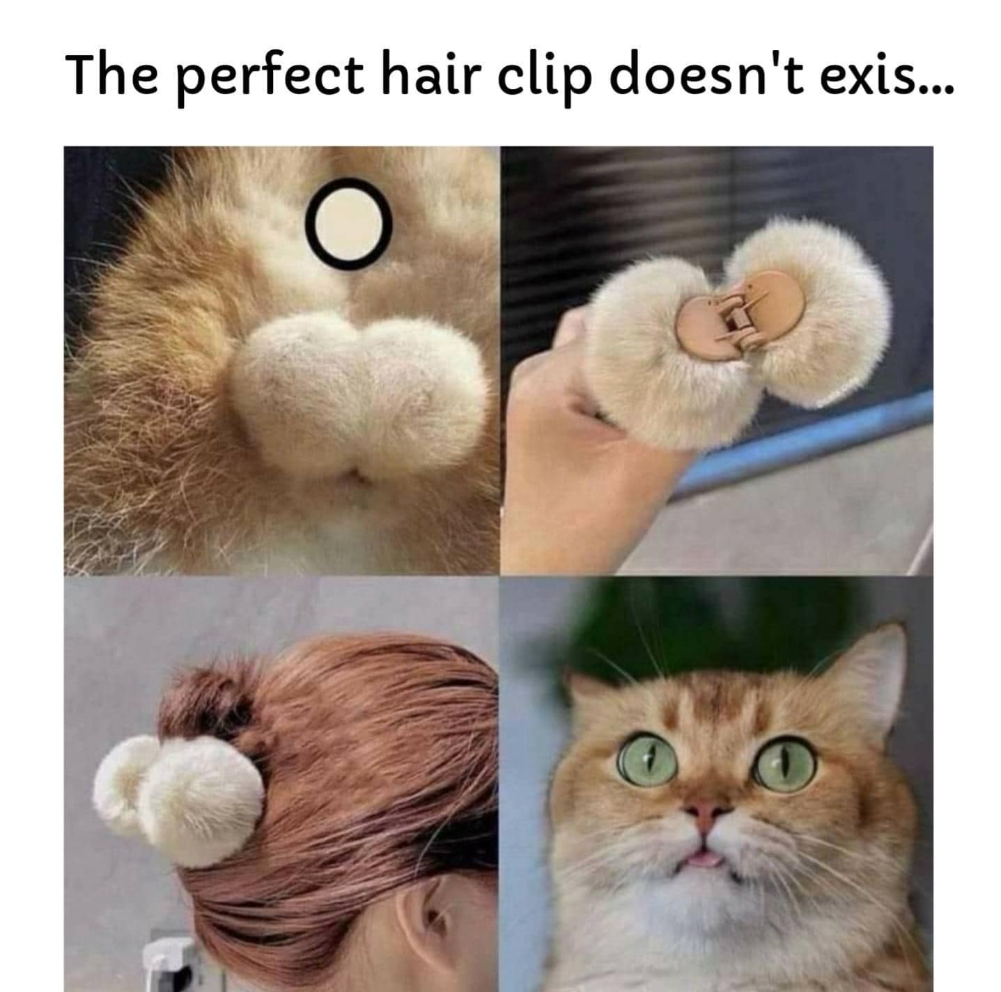 meme dump, funny memes, hilarious memes, online humor, laughter therapy, hilarious content, internet jokes, laughter compilation