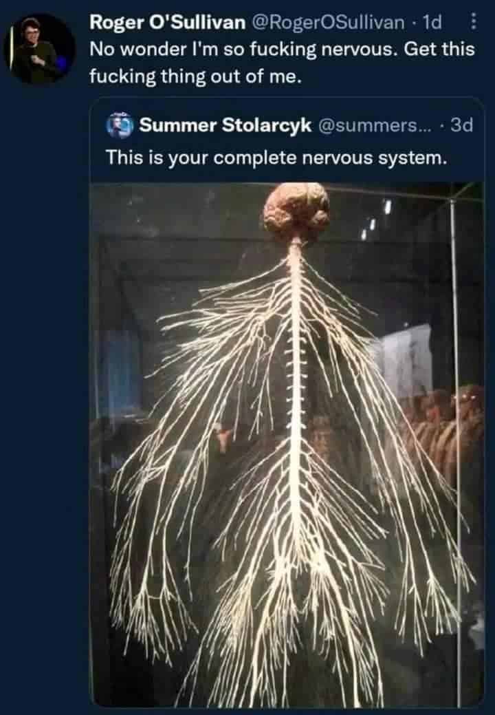 meme dump, funny memes, Dank memes, Relatable memes