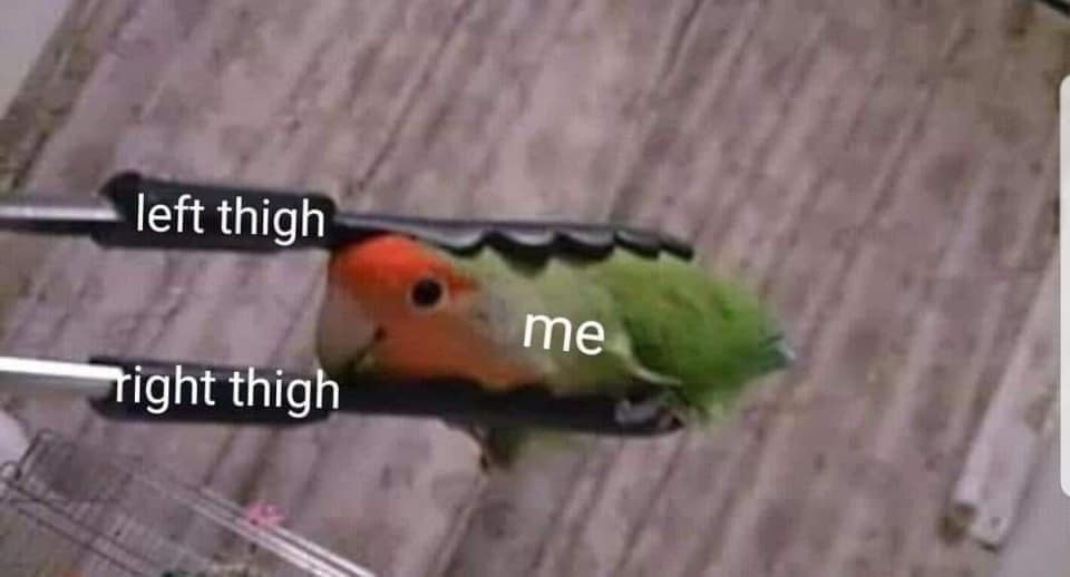 meme dump, hilarious memes, funny memes, Hilarious Content, Lunch Break Laughs, Afternoon Pick-Me-Up, Laughter Therapy, Relatable Humor