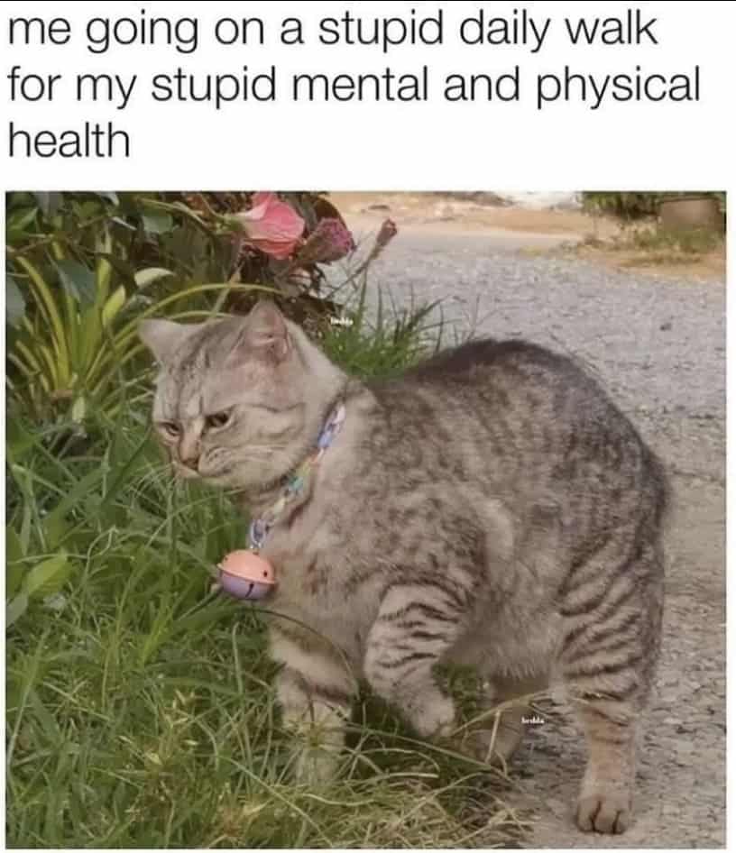 mental health memes, mental health humor, Anxiety memes, Mental health struggles hilarity, emotional wellbeing comic relief, therapy session giggles