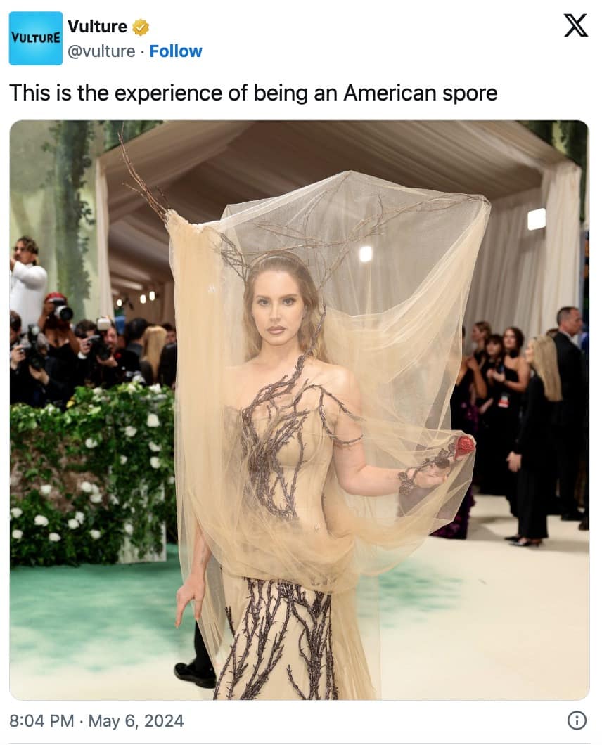 met gala 2024 memes, met gala memes, met gala outfits, met gala, met gala 2024