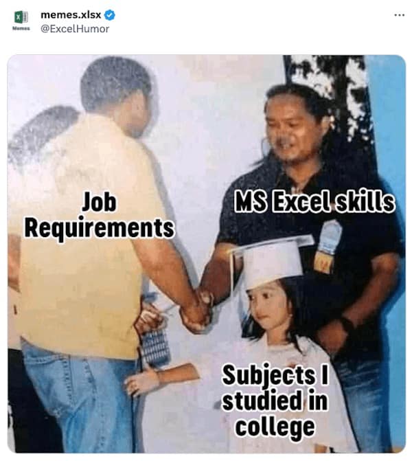 Job Requirements MS Excel skills Subiects I studied in college