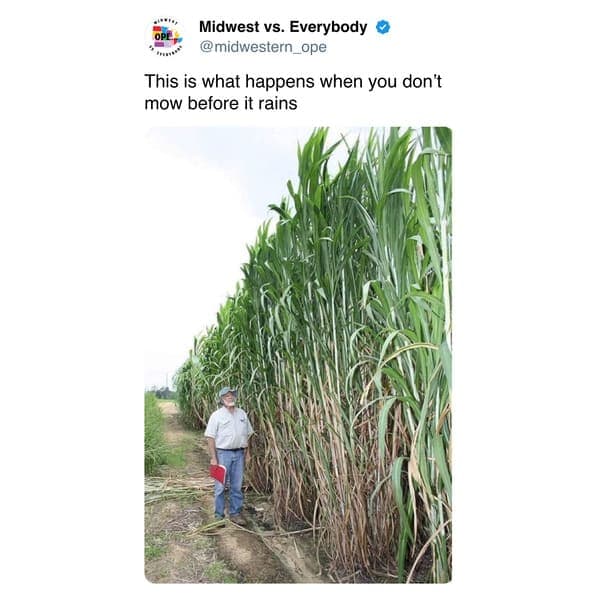Midwestern Culture, Flyover Country Memes, Cornfield Memes