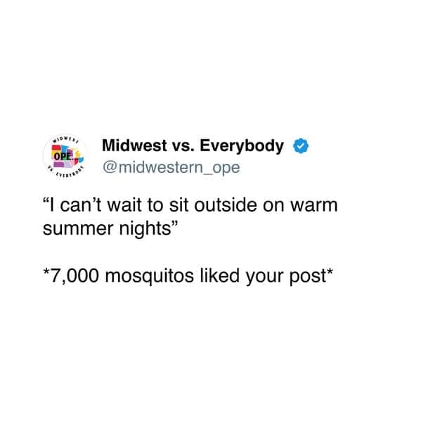 Midwestern Culture, Flyover Country Memes, Cornfield Memes