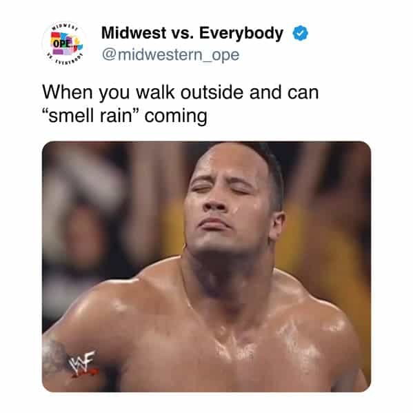 Midwestern Culture, Flyover Country Memes, Cornfield Memes